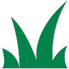 Green Bundle of Grass Icon