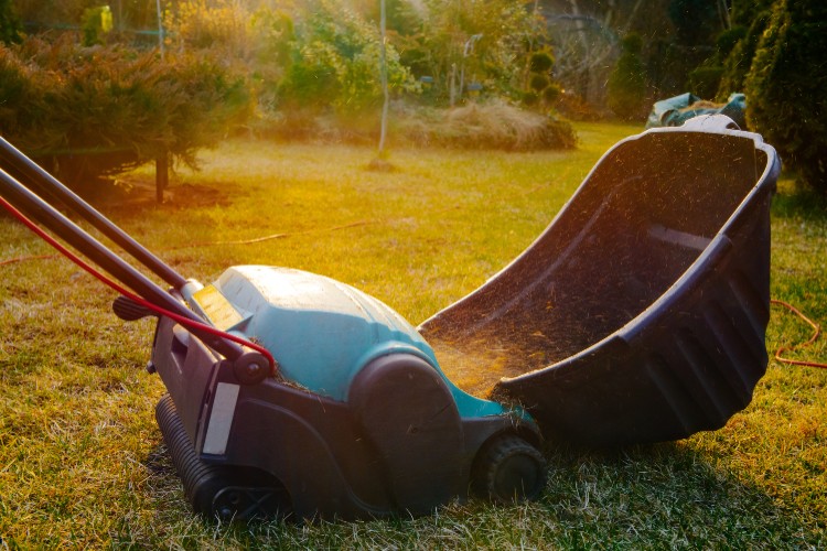 blue dethatching machine in the middle of a green yard