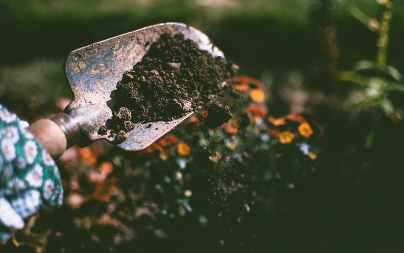 shoveling loose dirt with small hand-held metal shovel